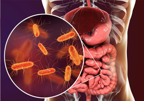 Digestive Issues & Gut Health wellness centre nerang